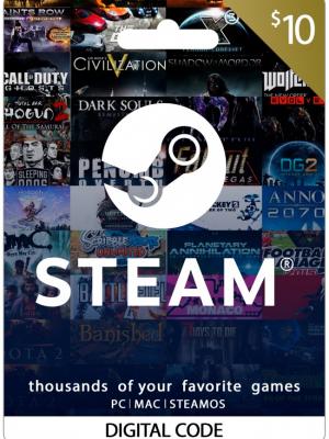 STEAM 10 USD